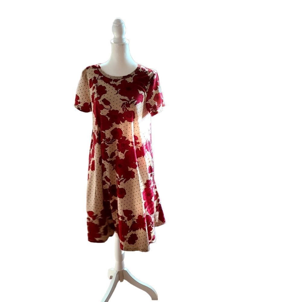 Lularoe Dress size Small